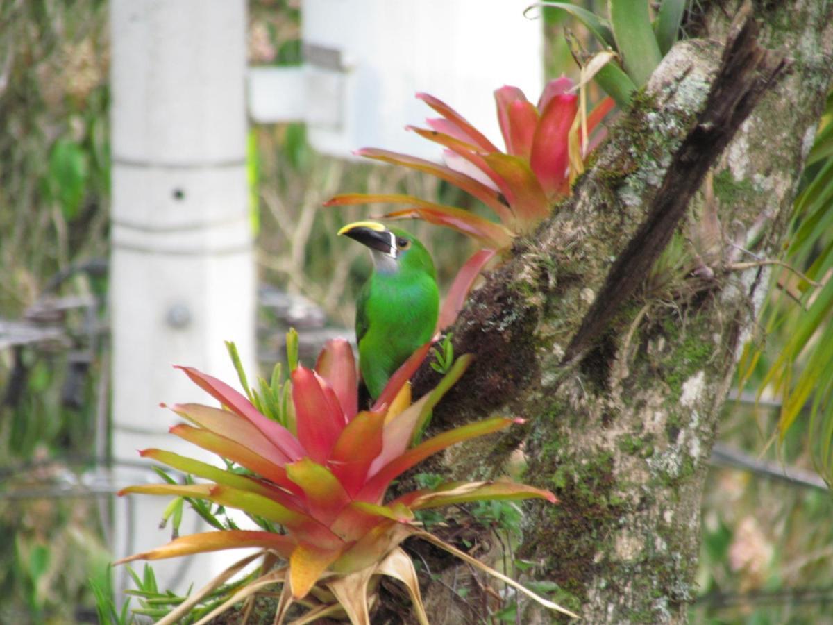 Mi Jardin Encantado Villa ภายนอก รูปภาพ